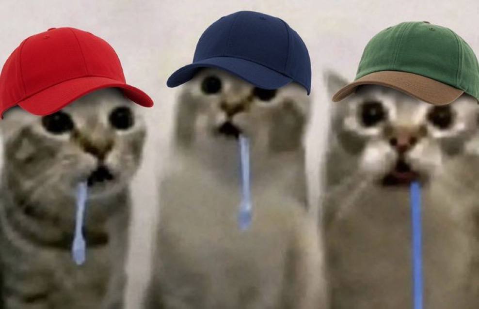 the community