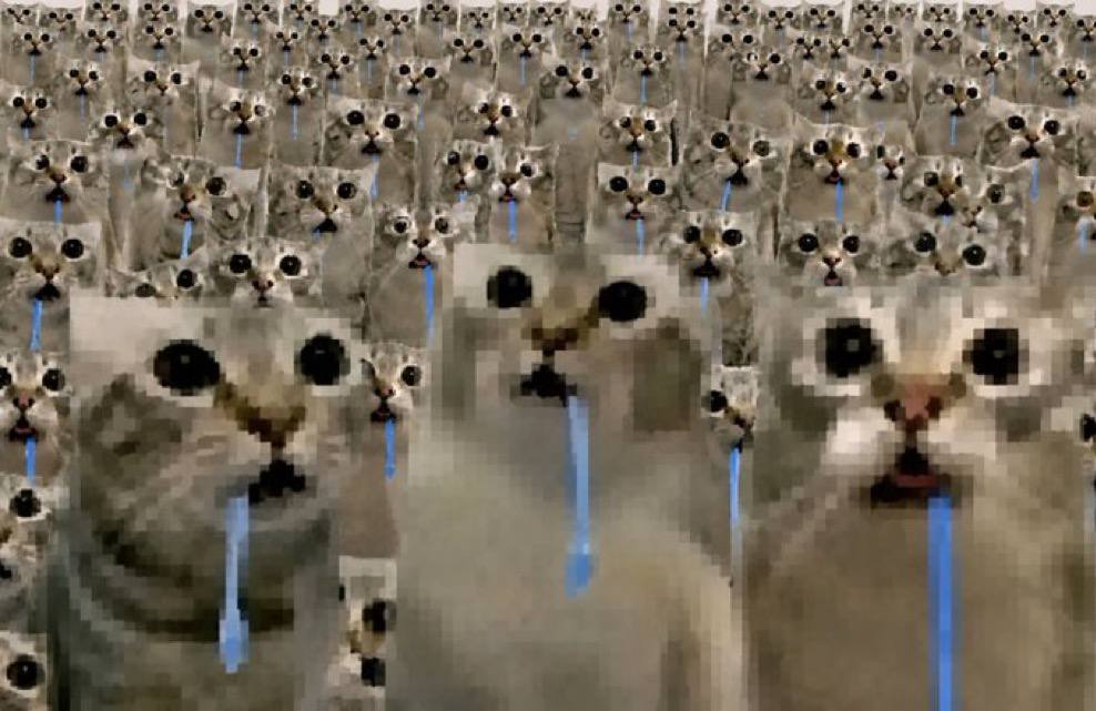 the crowd — WAGMI